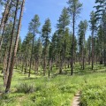 The Power of Community Coalitions in Addressing Environmental Concerns in Southwest Washington