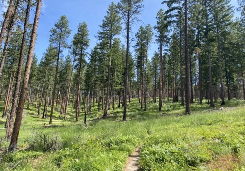 The Power of Community Coalitions in Addressing Environmental Concerns in Southwest Washington